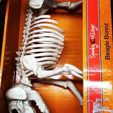 Wholesale Halloween Closeouts Pallets - Image 4